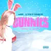 Mr. 17Stones - Bunnies - Single